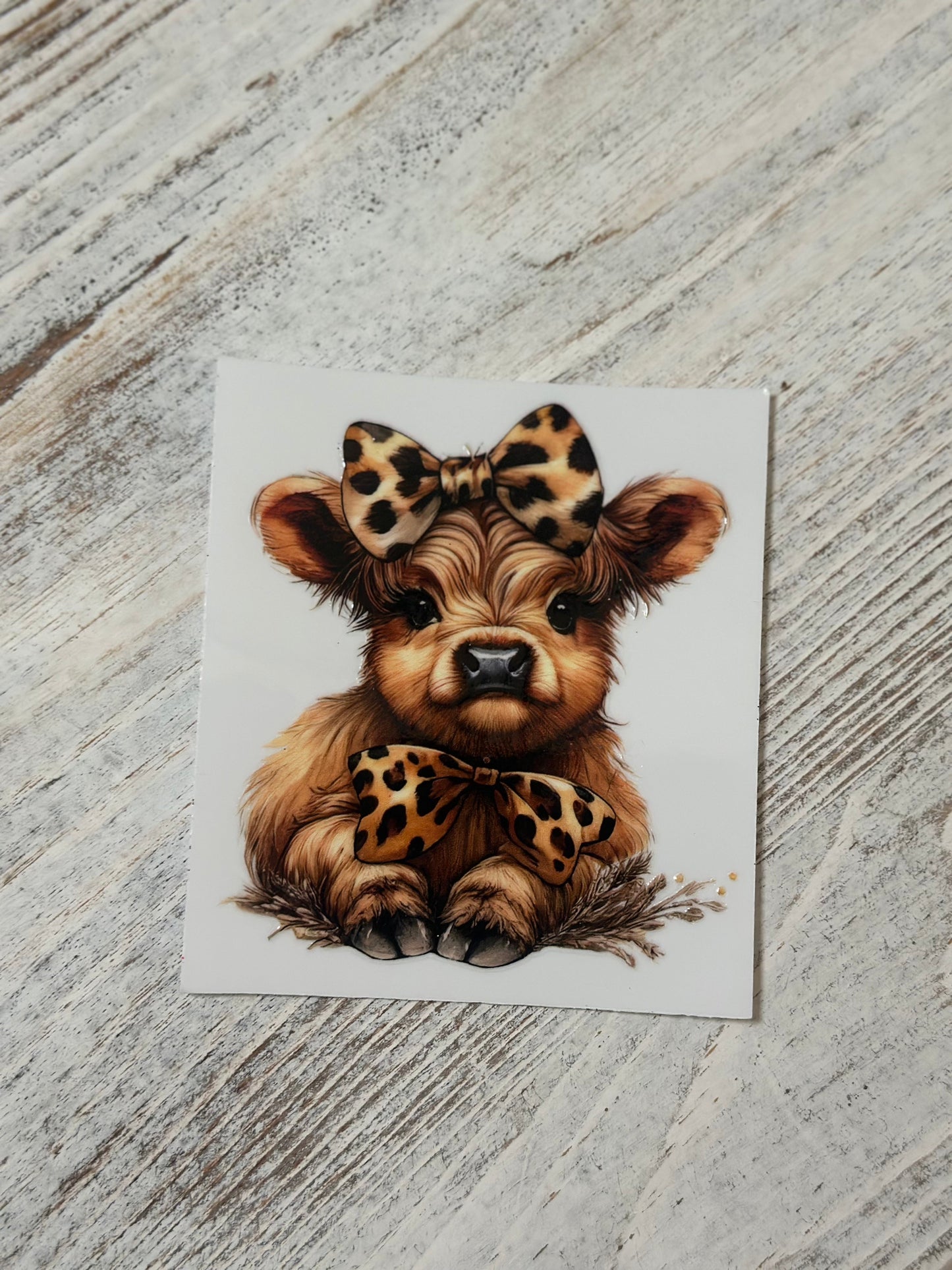 Baby Cow with Leopard Bow
