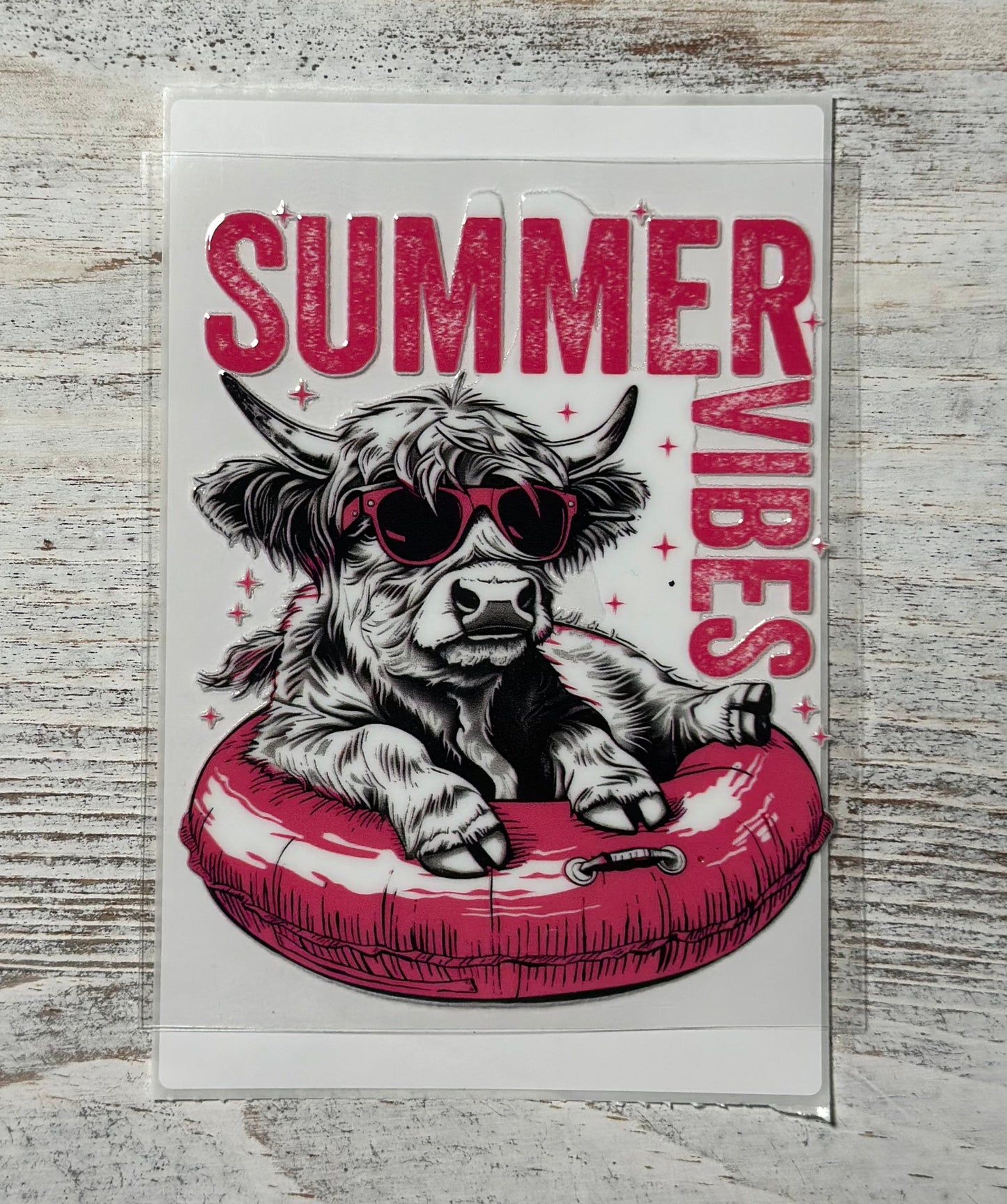 Summer Vibes W/ Cow