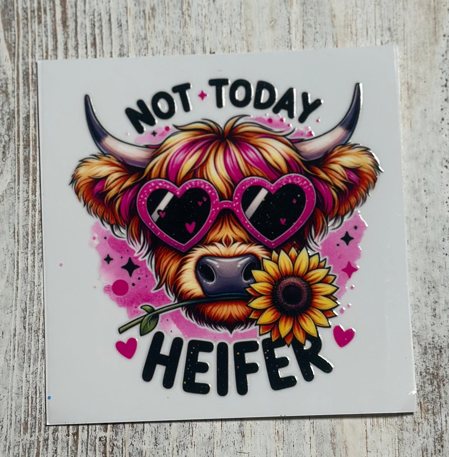 Boujee Not Today Heifer - Decal